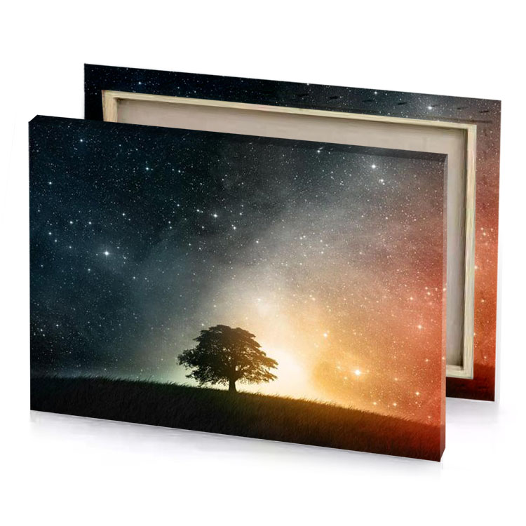 a lone tree in the middle of field under starry smoky black canvas