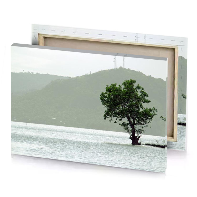 a lone tree in the middle of lake dark gray canvas