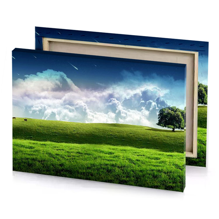 a lone tree on grassy hill platinum canvas
