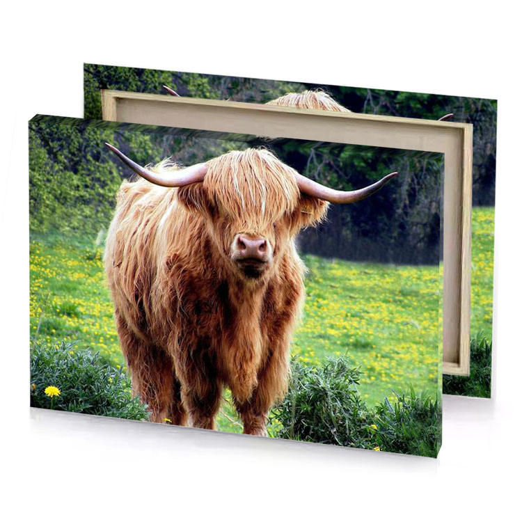 a long haired cow standing in field of flowers bistre canvas