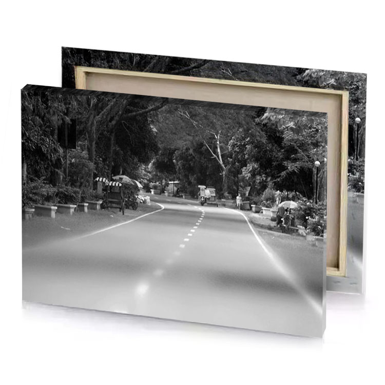 a long road with lot of trees and bushes silver canvas