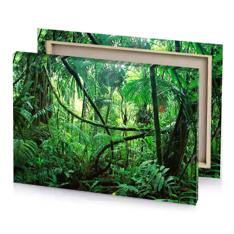 a lush jungle with lots of trees and plants camouflage green canvas