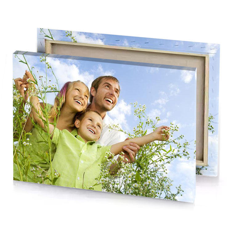 a man and two children are in field of flowers light steel blue canvas