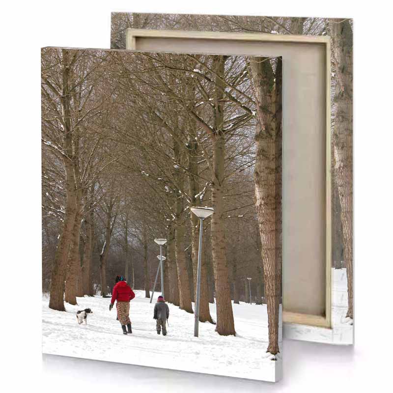 a man and woman walking dog through snowy park dark olive green canvas