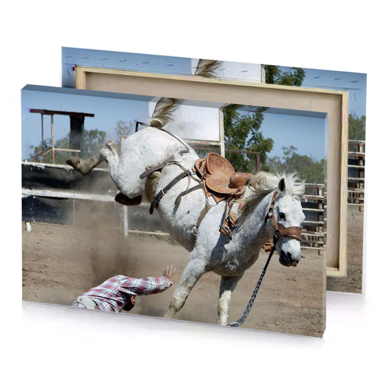 a man falling off horse silver canvas