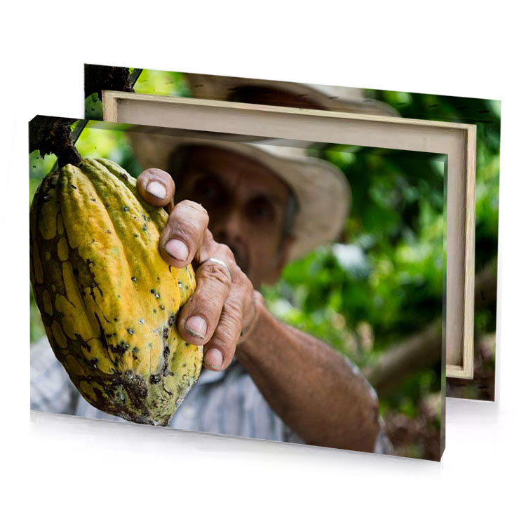 a man holding banana in his hand fawn canvas