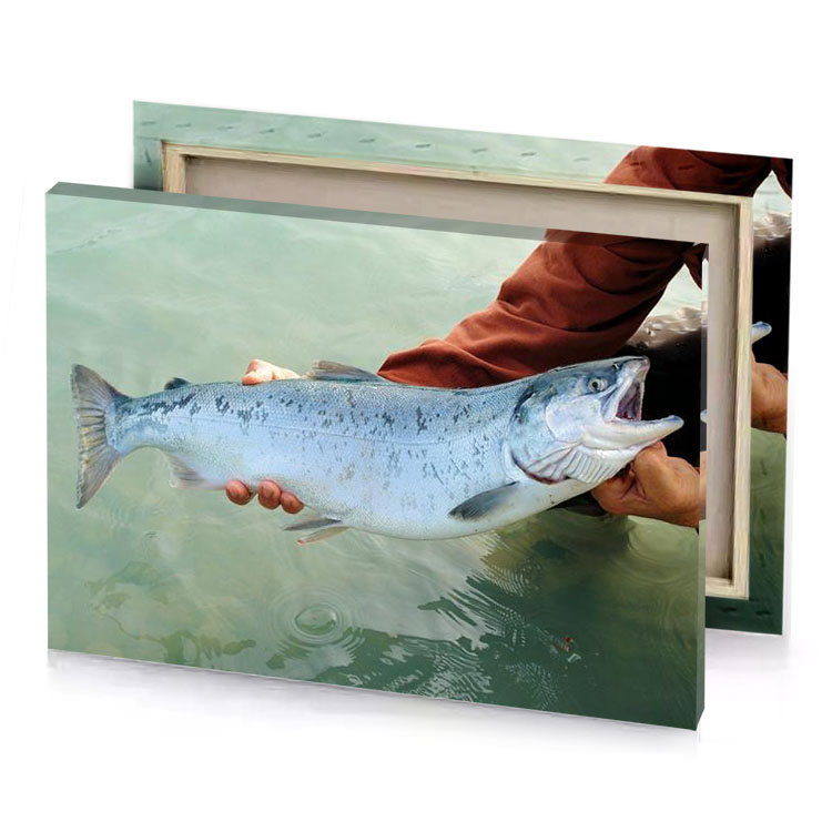 a man holding fish in the water light steel blue canvas