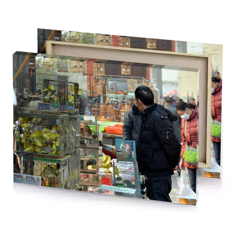 a man in black jacket camouflage green canvas