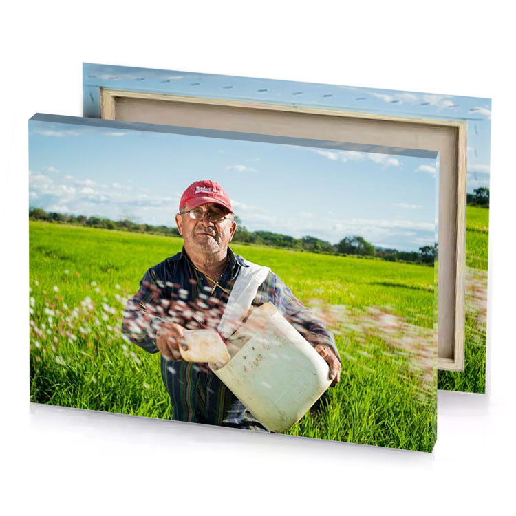 a man in field with bucket yellow green canvas