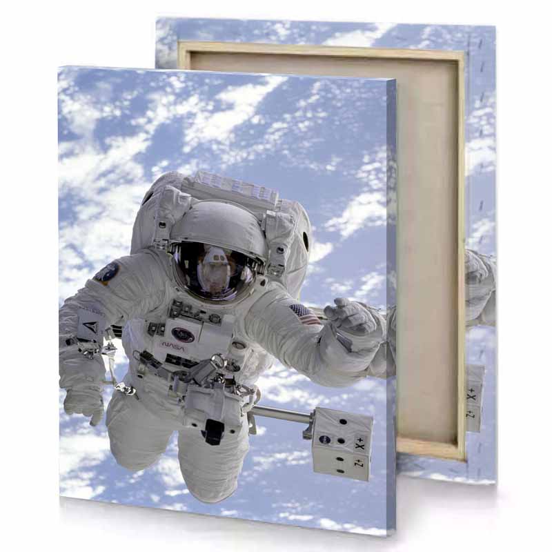 a man in space suit is the air gray canvas