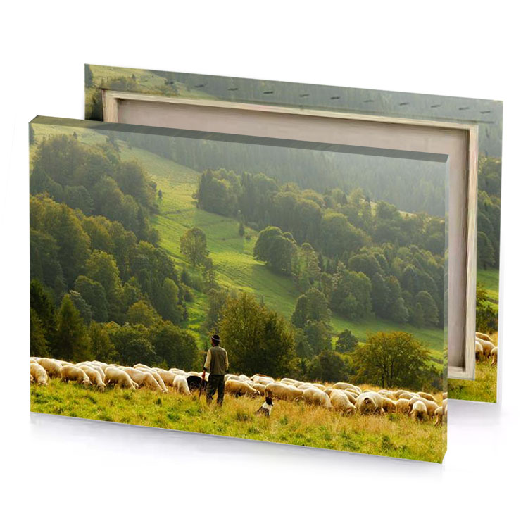 a man is herding sheep in field olive drab canvas