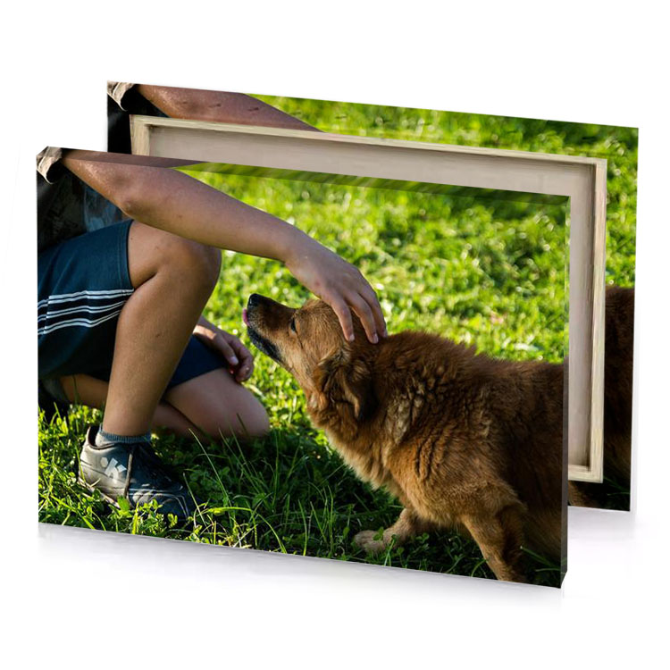 a man kneeling down with dog in the grass bistre canvas