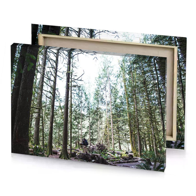 a man riding bike through forest lavender canvas