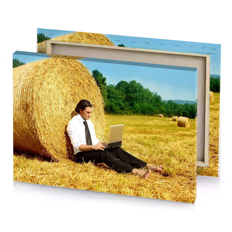 a man sitting in field using laptop fawn canvas