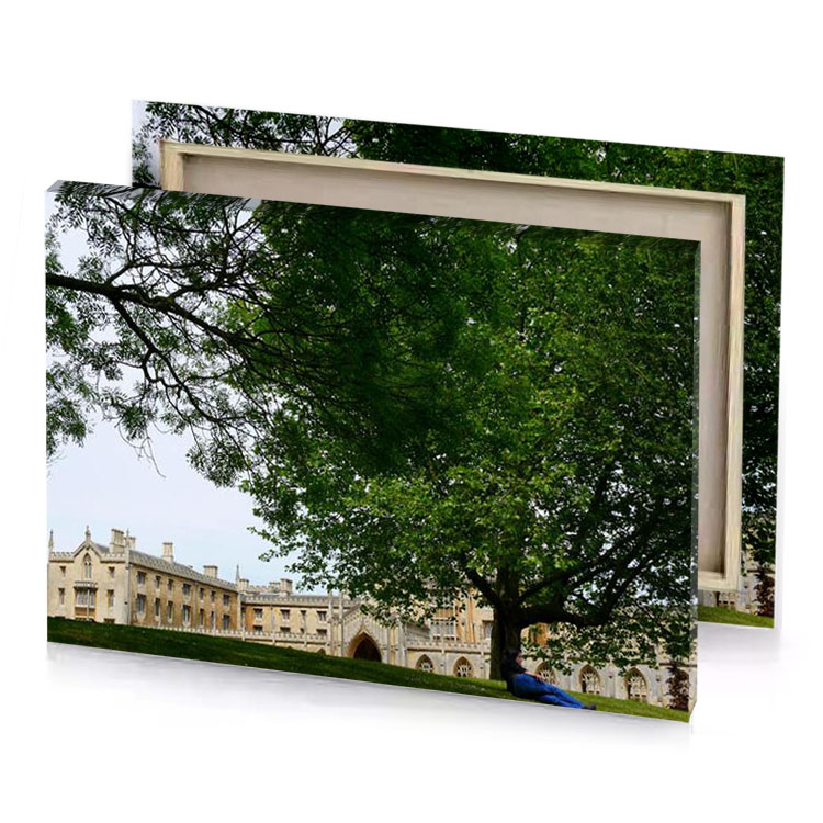 a man sitting under tree in front of large building bistre canvas