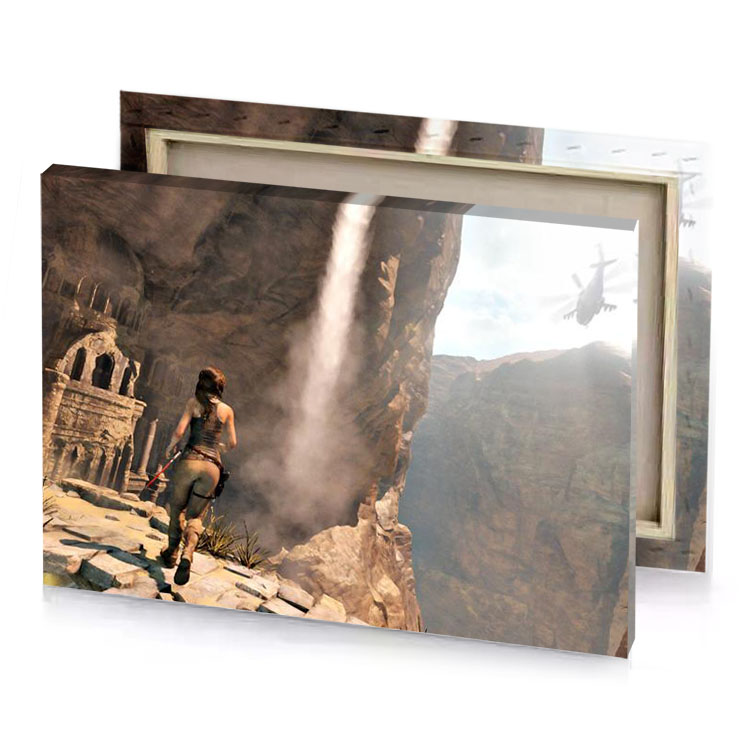 a man standing on cliff in canyon rosy brown canvas