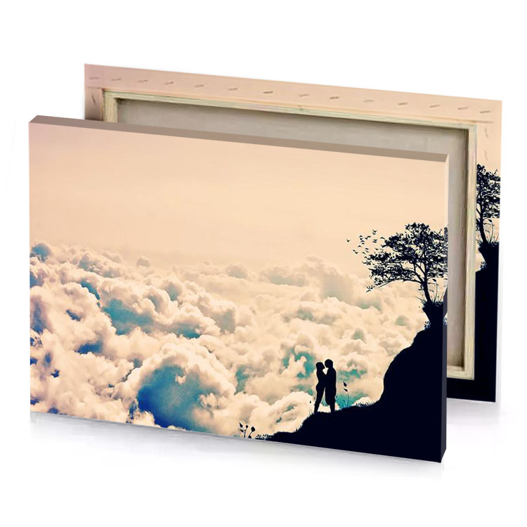 a man standing on mountain top with tree peach puff canvas
