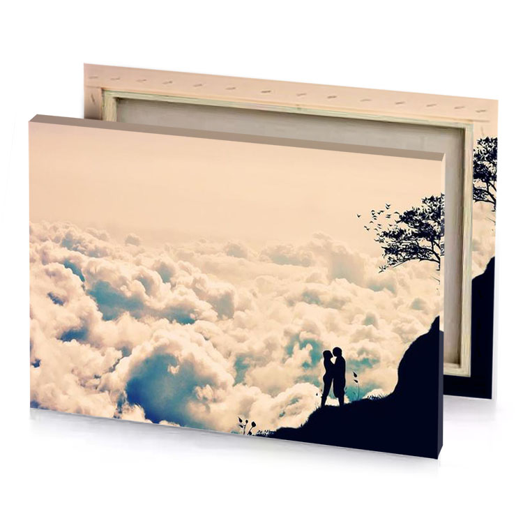 a man standing on top of mountain peach puff canvas