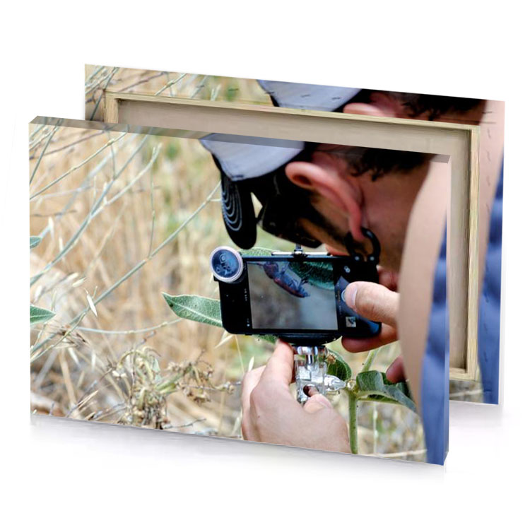 a man taking picture of plant tan canvas