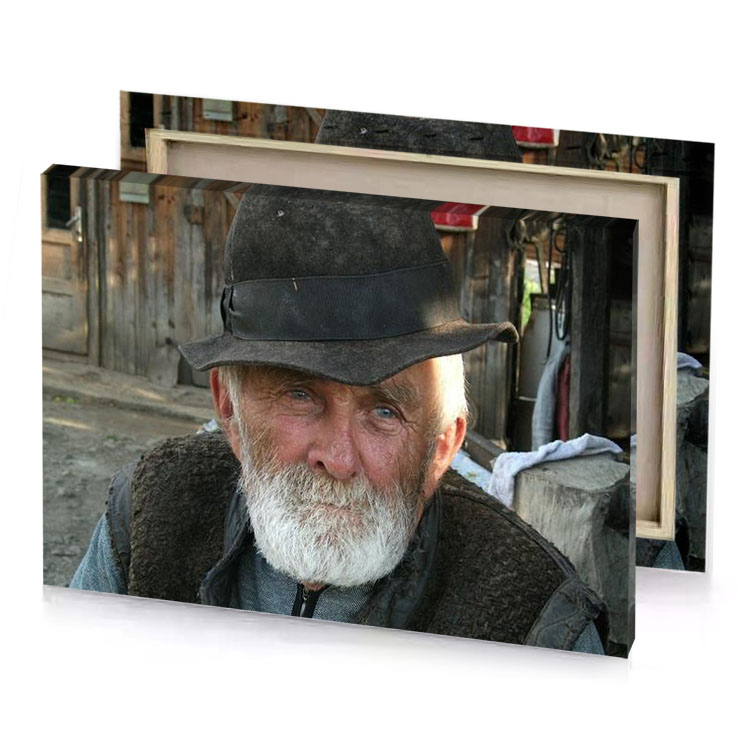 a man with beard and hat bistre canvas