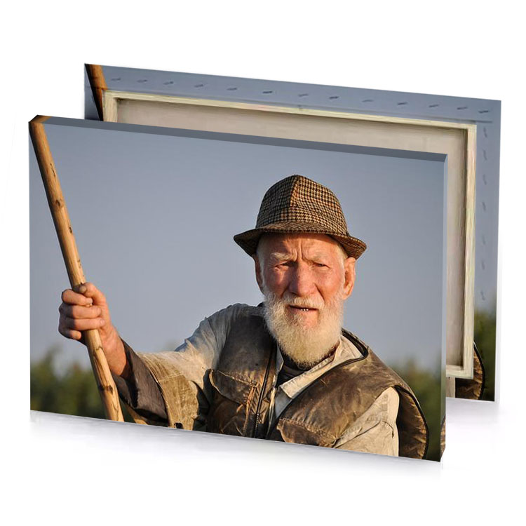a man with stick manatee canvas