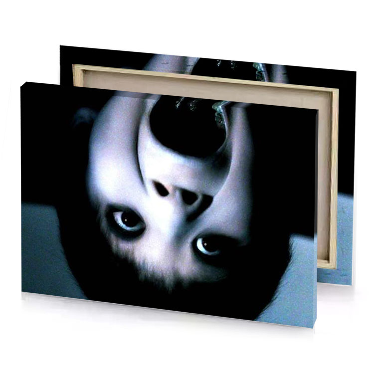 a man with white face and black nose alice blue canvas
