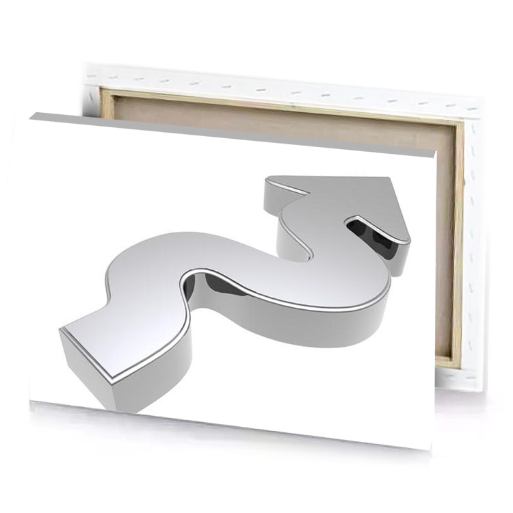 a metal letter s on white background platinum canvas