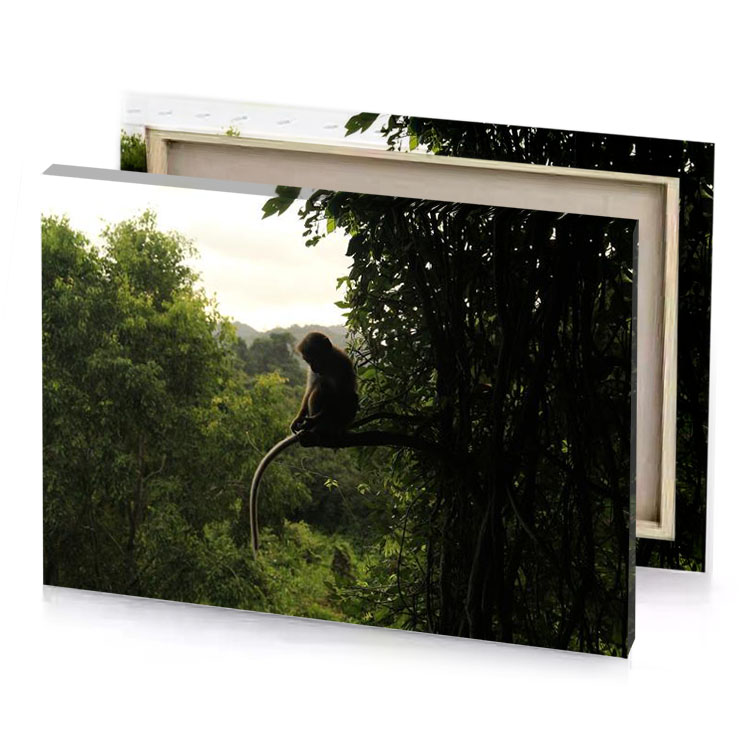 a monkey is sitting on tree branch bistre canvas