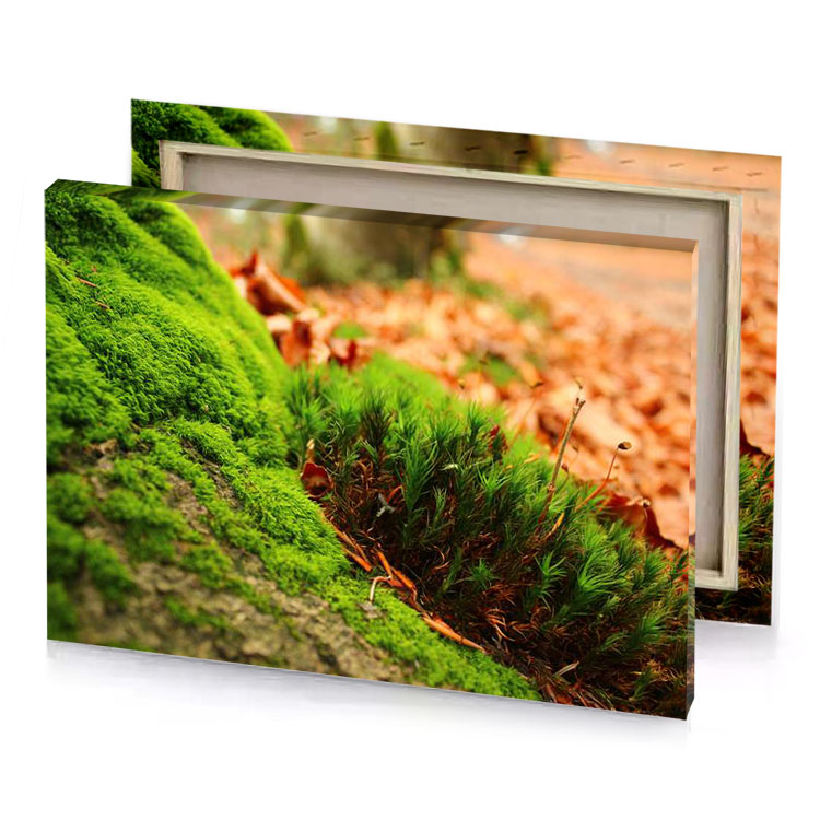 a moss covered wall in the woods olive drab canvas