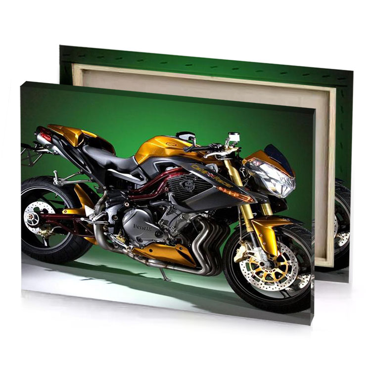 a motorcycle is shown in studio setting fern green canvas