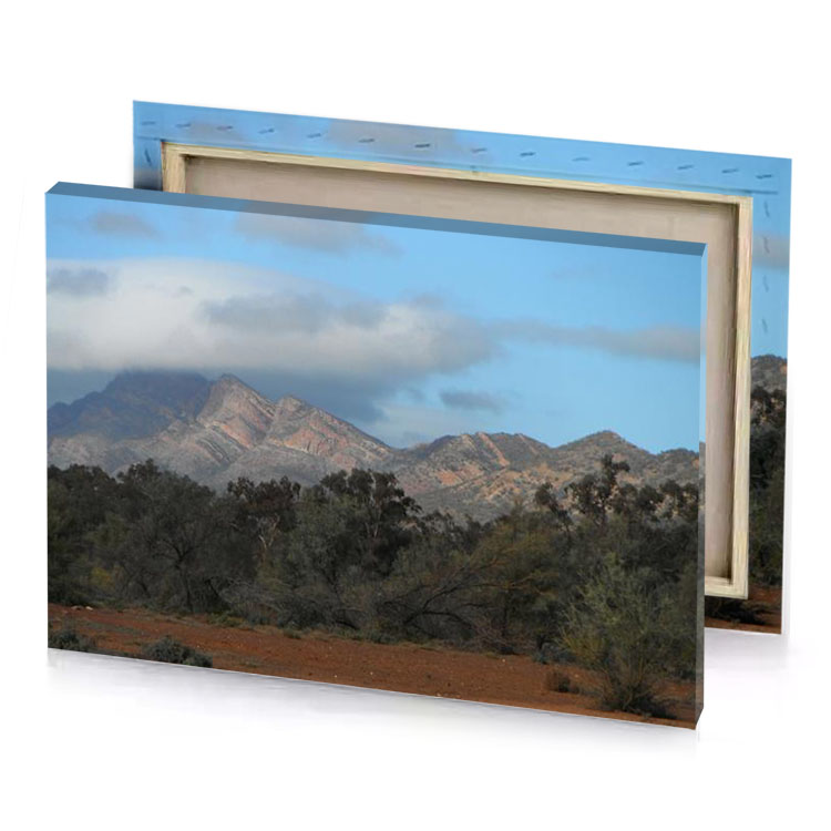 a mountain range with trees and bushes gray canvas