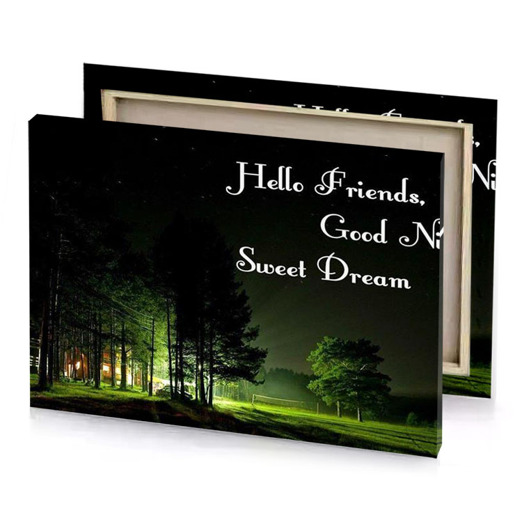 a night scene with house and trees bistre canvas
