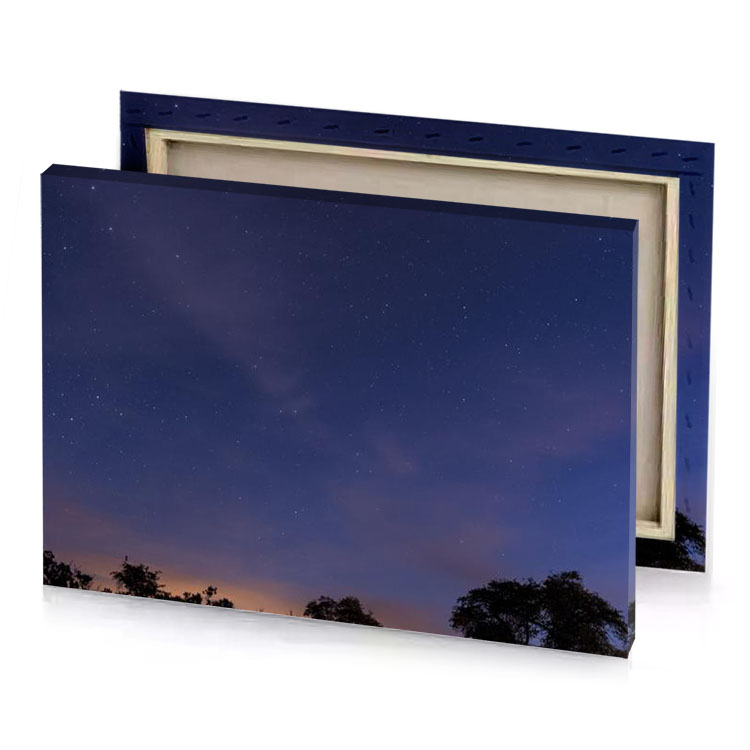 a night sky with stars and trees dim gray canvas
