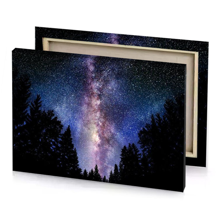 a night sky with the milky and trees slate gray canvas