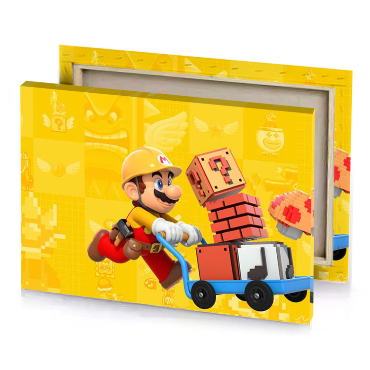 a nintendo mario is riding small car bittersweet shimmer canvas