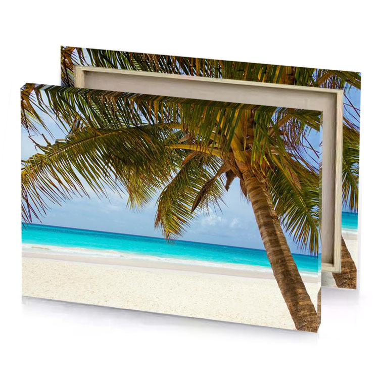 a palm tree on beach with blue sky light steel canvas