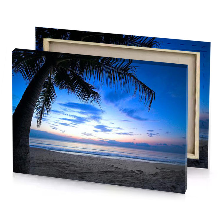 a palm tree on the beach at sunset light sky blue canvas