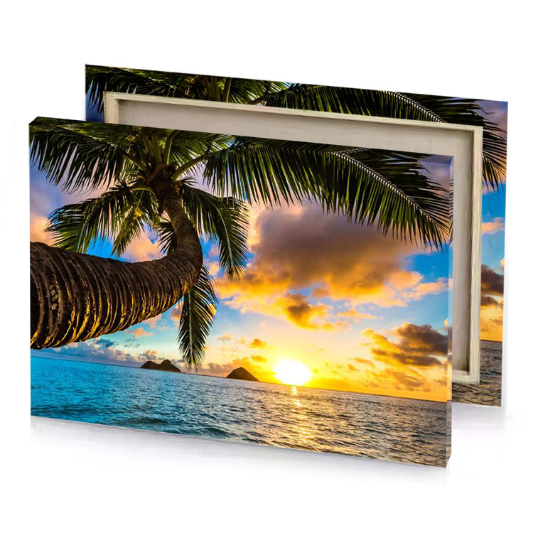 a palm tree on the beach navajo white canvas