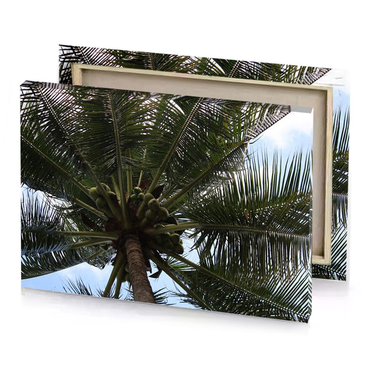 a palm tree with bunch of bananas on it bistre canvas