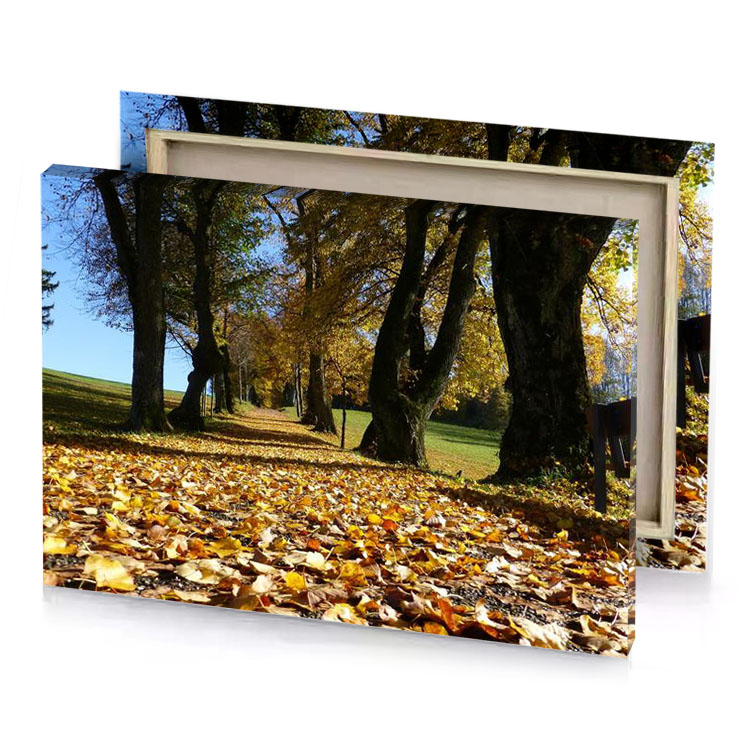 a park bench in the middle of field leaves sepia canvas