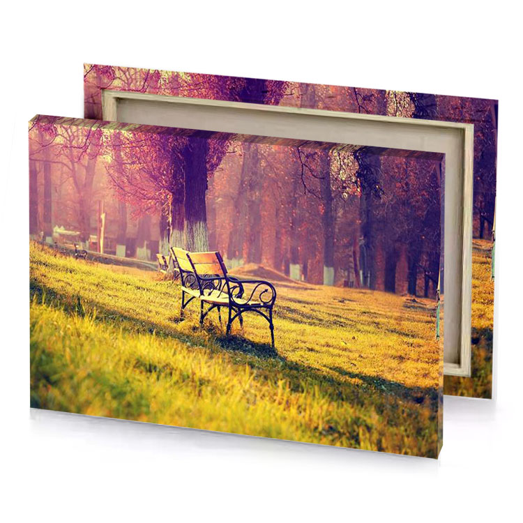 a park bench in the middle of grassy field yellow orange canvas