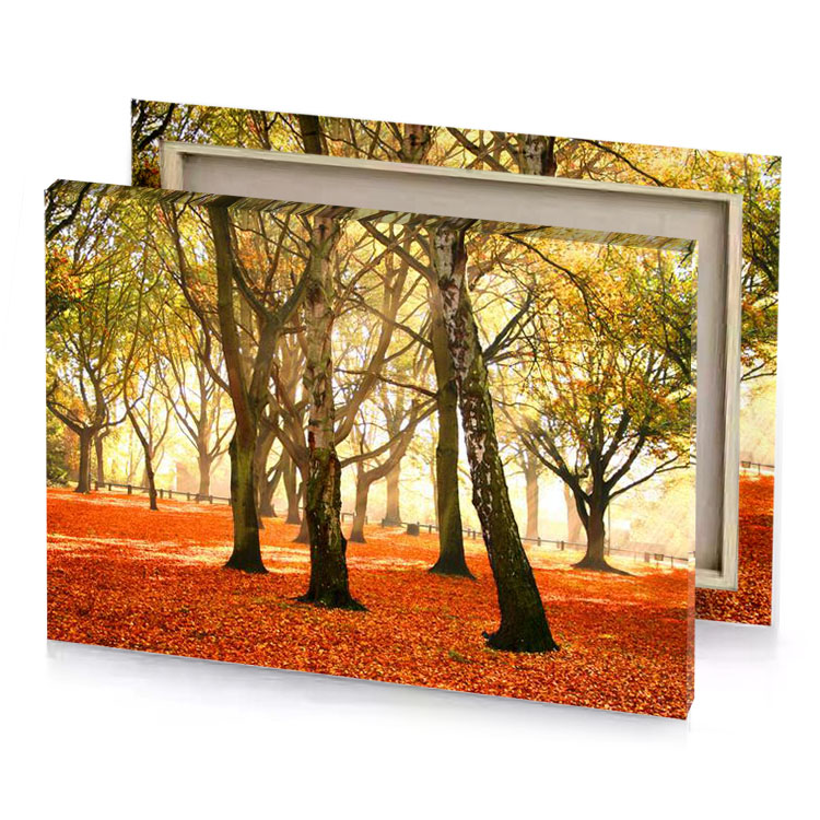a park filled with lots of trees and leaves sienna canvas