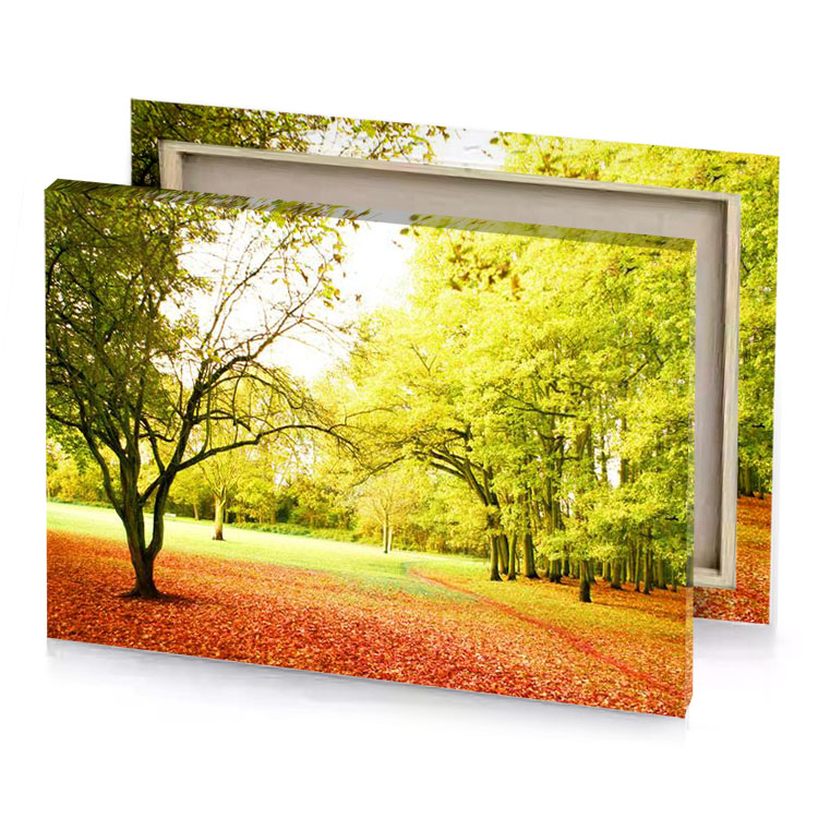 a park with lots of leaves on the ground golden rod canvas