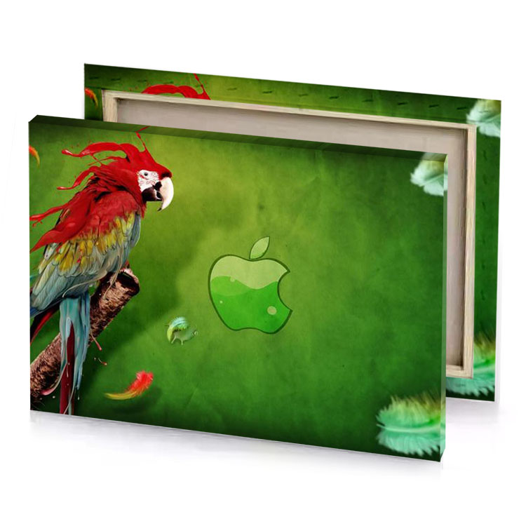 a parrot sitting on branch with green apple in the olive drab canvas