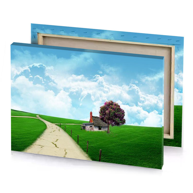 a path leading to house in the middle of green slimy canvas