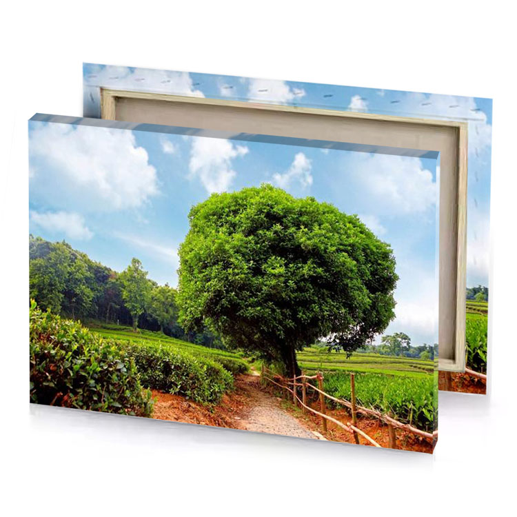 a path leading to tree in the middle of rice dark olive green canvas