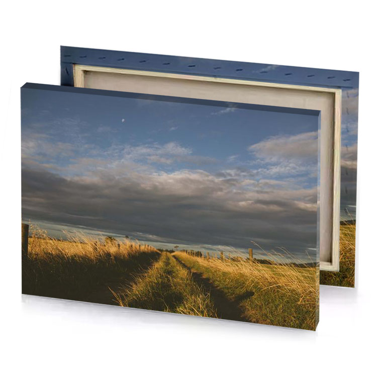 a path through field of tall grass slate gray canvas