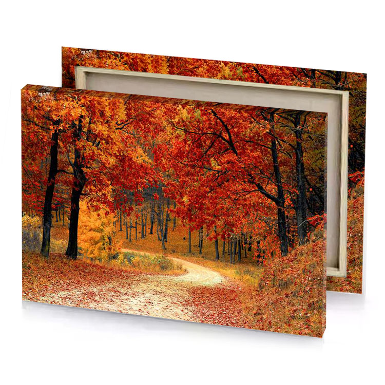 a path through forest with lots of leaves firebrick canvas
