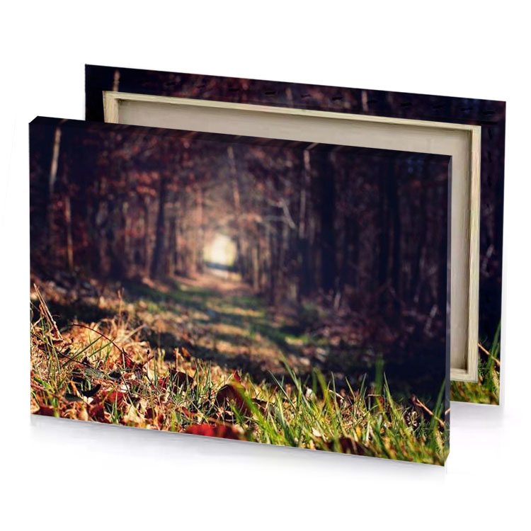 a path through forest with lots of leaves garnet canvas