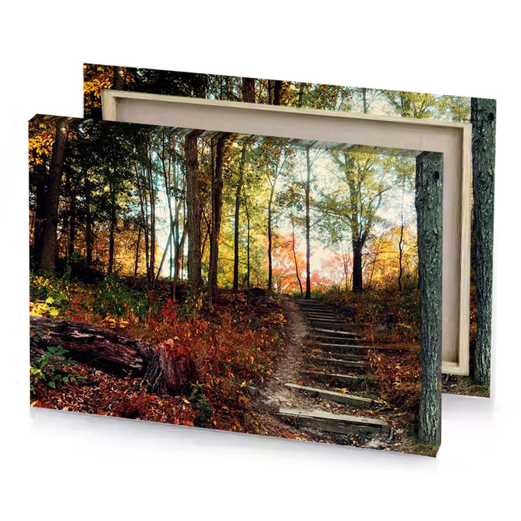 a path through forest with lots of trees bistre canvas
